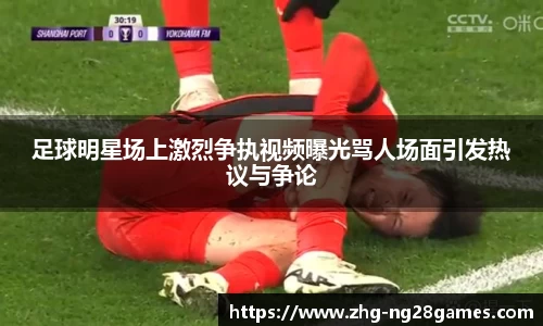 足球明星场上激烈争执视频曝光骂人场面引发热议与争论